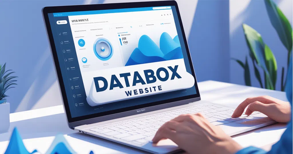 Databox Website dashboard showing analytics and performance insights
